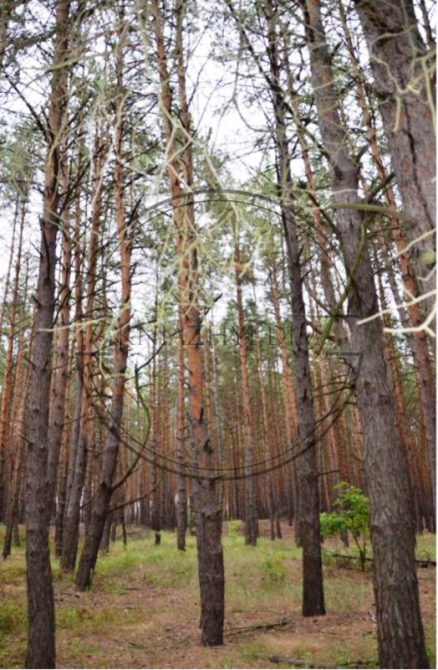 Продам срочно участок в новом строящемся коттеджном городке Процев Борисполький район пока 1000 за с Київ - зображення 6