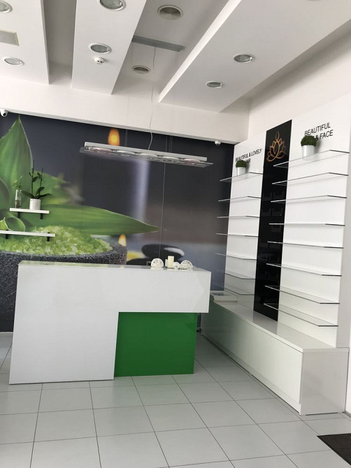 Продам. Офис 200 м.кв. 4/7, ул.Надежды Алексеенко 21 Днепр - изображение 10