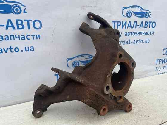 Цапфа задняя левая Ford Escape 2012-2019  (Арт. 73407) Киев