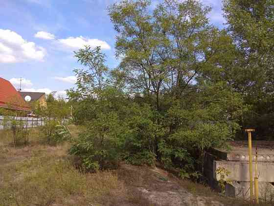 Продаж 10 соток біля лісу з газом і світлом | Вища Дубечня Вышгород