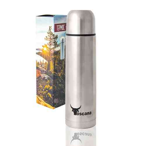 Термос питний SNT Cosmo 8090-1 500 мл сріблястий Київ