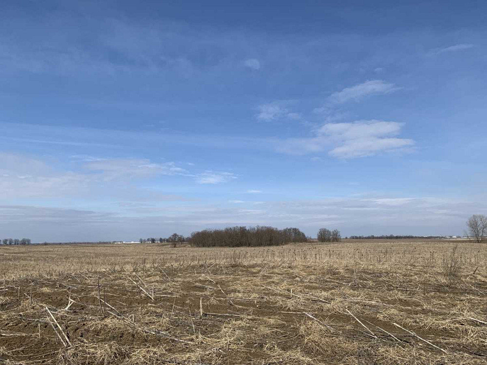 продажа земля сельскохозяйственного назначения Бориспольский, Глубокое, 389700 грн.  - изображение 6