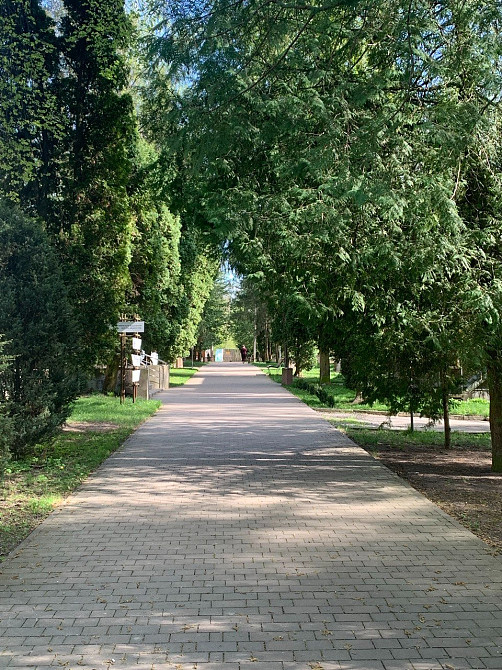 🌿 «Лікування, оздоровлення, відпочинок» у санаторії "Березовий гай" Вінниця - зображення 9