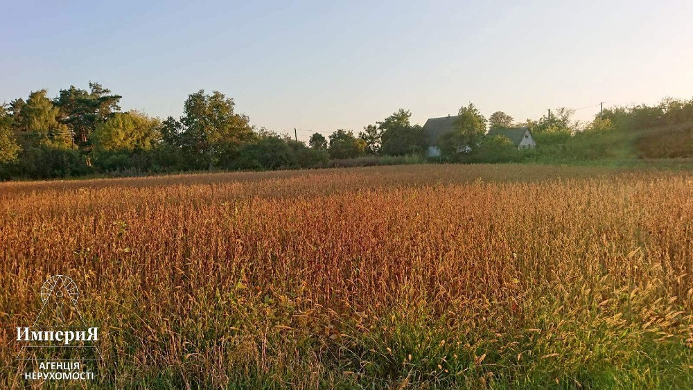 Півбудинку в Шамраівці.27 соток.Фундамент під новий будинок. Белая Церковь - изображение 8