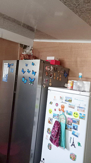 Продам дом в городе на берегу реки Днепр - изображение 5