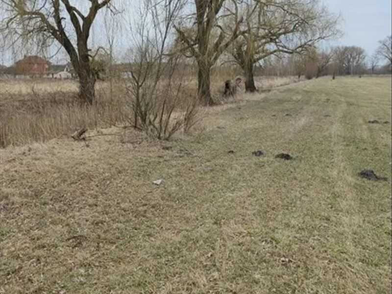 продажа земля сельскохозяйственного назначения Барышевский, Сезенков, 821400 грн.  - изображение 3