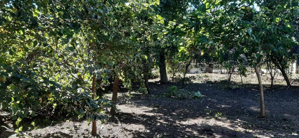 Продам будинок в місті Богуслав Богуслав - изображение 4