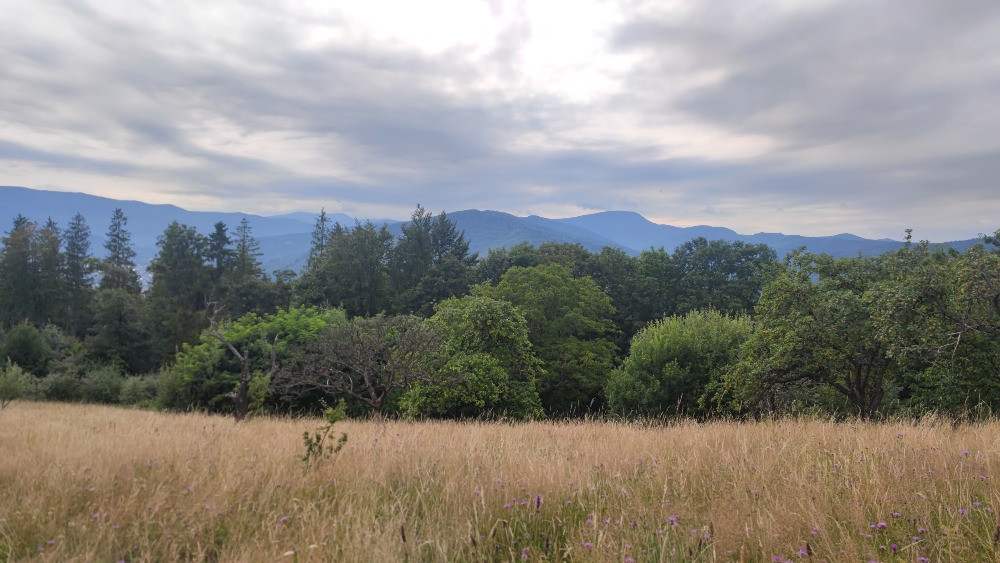 Земельна ділянка в Яремче 0.76 га Яремче - зображення 7