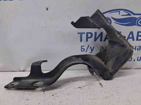 Петля капота левая Chevrolet Captiva 2006-2018 96624414 (Арт. 77139) Київ