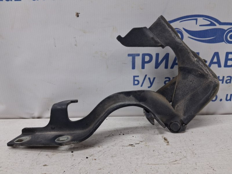 Петля капота левая Chevrolet Captiva 2006-2018 96624414 (Арт. 77139) Київ - зображення 1