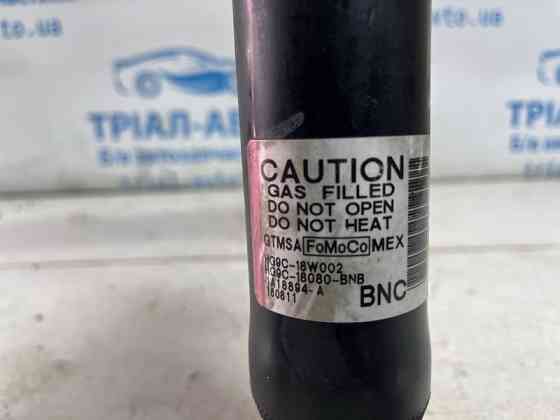 Амортизатор задний Ford Fusion USA 2 1.5 БЕНЗИН ENUN0 2013 (б/у) Киев