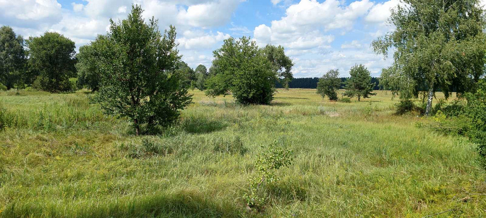 продажа земля сельскохозяйственного назначения Козелецкий, Остер, 90000 $  - зображення 5