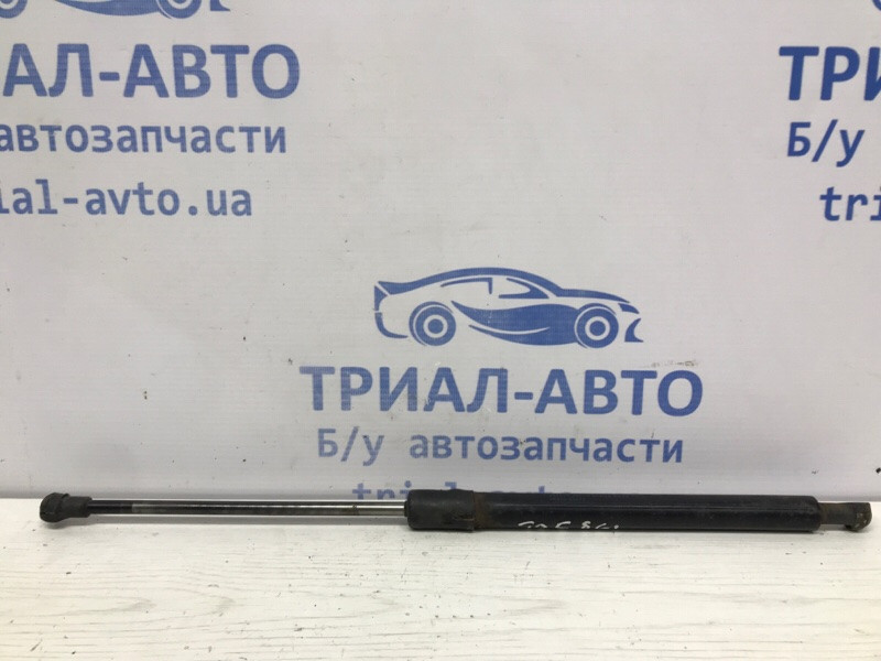 Амортизатор крышки багажника Toyota Avensis 2003-2009 6896009100 (Арт. 51701) Київ - зображення 1