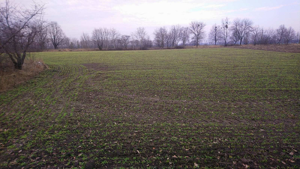 Продається земнльна ділянка Белая Церковь - изображение 8