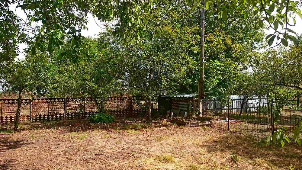 Продам цегляний дачний будинок в Великополовецькому. Біла Церква - зображення 12