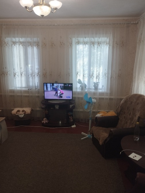 Продам дом в Подгородном со своим берегом Дніпро - зображення 1