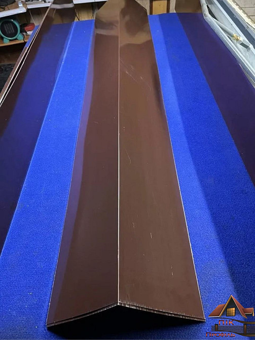 Коник звичайний, коник покрівельний, конек, коньок Киев - изображение 4