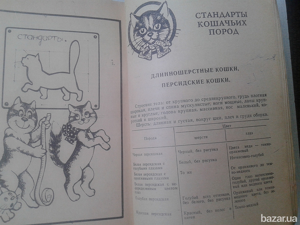 "КОШКИ" (авт.В.Андреев) Нікополь - зображення 6