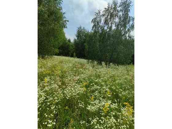 продажа земля сельскохозяйственного назначения Бородянский, Озера, 13082028 грн. 