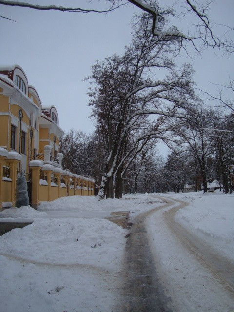 Продаж 40 сот Пуща Водиця. вул.Юнкерова Київ - зображення 3