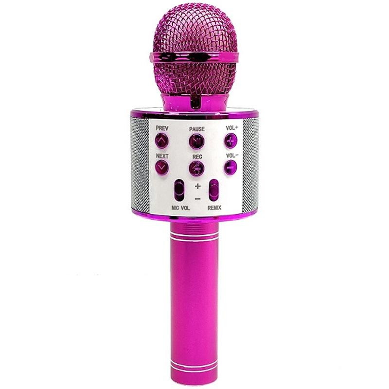 Караоке Микрофон-колонка WS858 Херсон - зображення 1