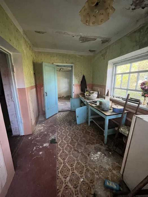 продажа 4-к дача Васильковский, Ксаверовка, 20000 $  - изображение 6