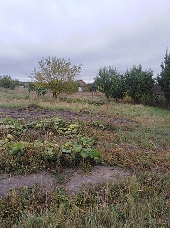 Продам будинок з великою ділянкою в с. Пилиповичі Бородянка - изображение 12
