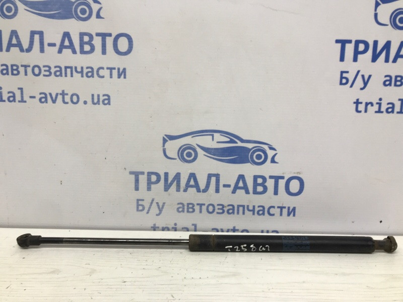 Амортизатор крышки багажника Toyota Avensis 2003-2009 6895009150 (Арт. 51700) Киев - изображение 1