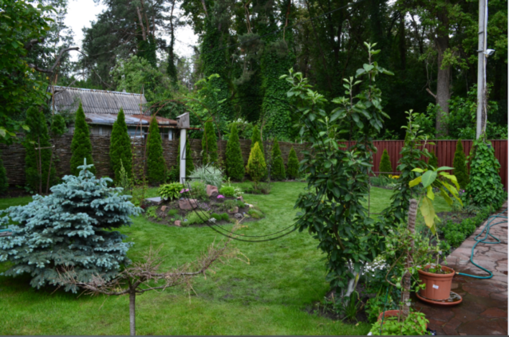 Оренда будинку 180 м2 в с.Чайка. № 1336 Киев - изображение 6