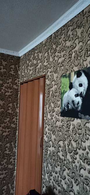 Продам. 3-к.кв. 1/9, ул.Калиновая, угол Янтарной. Днепр - изображение 3