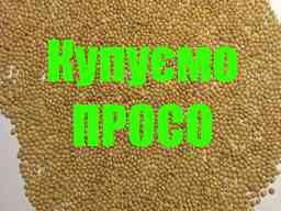Купуємо Просо жовте Золотоноша