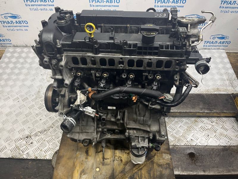Двигатель Ford Escape 3 2.0 БЕНЗИН ENR90 2012 (б/у) Киев - изображение 8