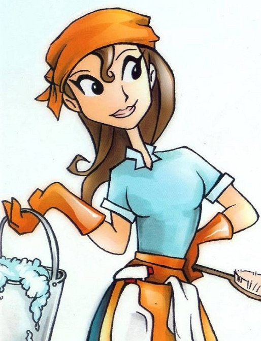 Домробітниця (1 день на тиждень) Київ - зображення 1