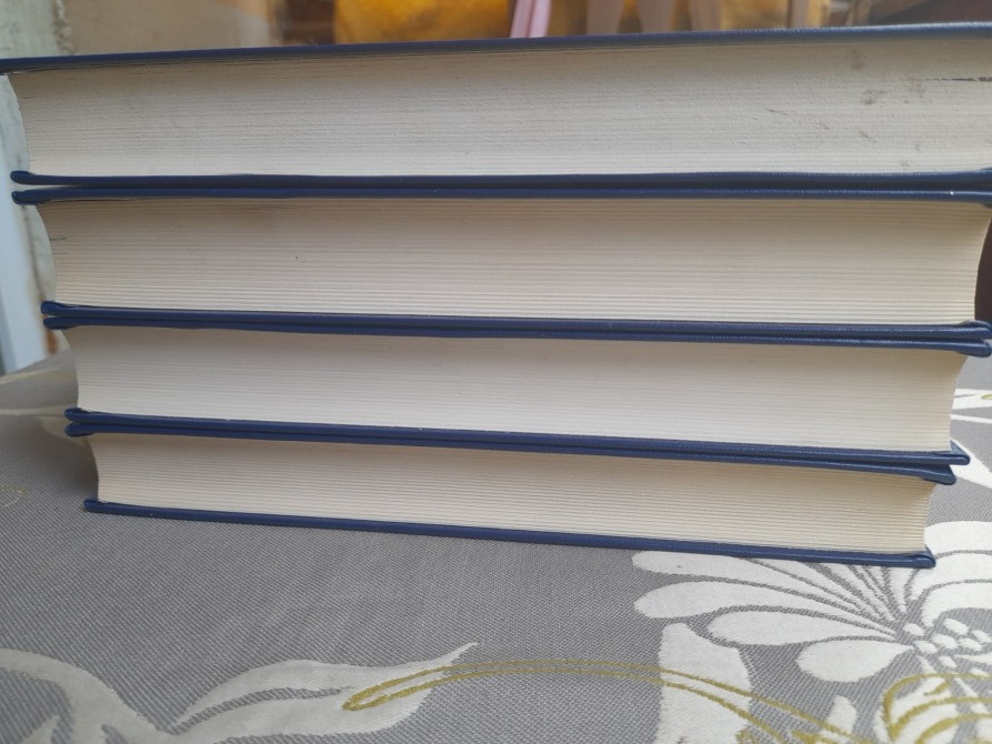 Карл Фалькенгорст Дебри и пустыни. Томах 4 Африканский кожаный чулок фантастика приключения Запоріжжя - зображення 12