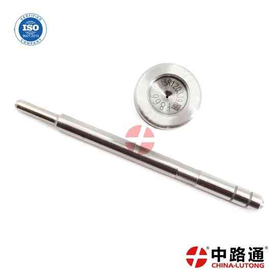Common Rail Injector Valve F00V C45 205 Common Rail Injector Valve F00VC01005 Луцьк