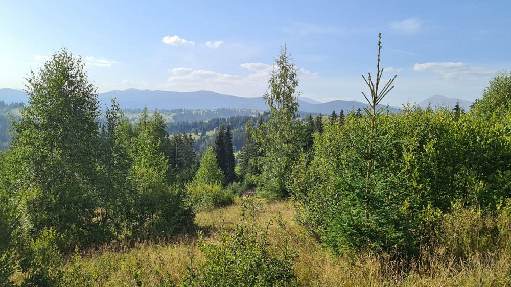 Земельна ділянка у селі Яблуниця 1.19 га Яремче - зображення 5