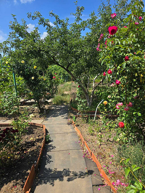 продажа 2-к дача Белоцерковский, Черкас, 13999 $  - изображение 1