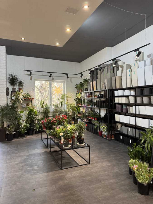 продажа помещения свободного назначения, здания Киев, Соломенский, 235000 $ Киев - изображение 7