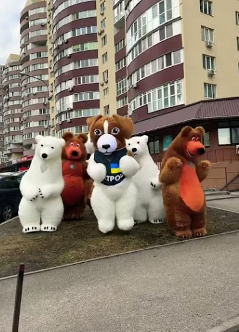 Костюм аниматору Мишка 250 см, свобода движений, обзор, 4 часа работы Київ - зображення 2