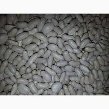 Купуємо білу квасолю на переробку Запоріжжя - зображення 1