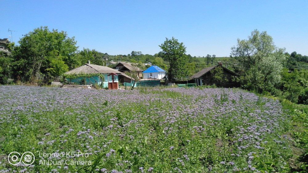 Продам будинок Ивано-Франковск - изображение 1