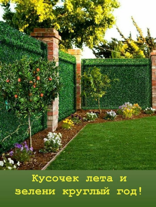 Сітка для огорожі,Зелена ізгородь,штучна ізгородь Киев - изображение 7