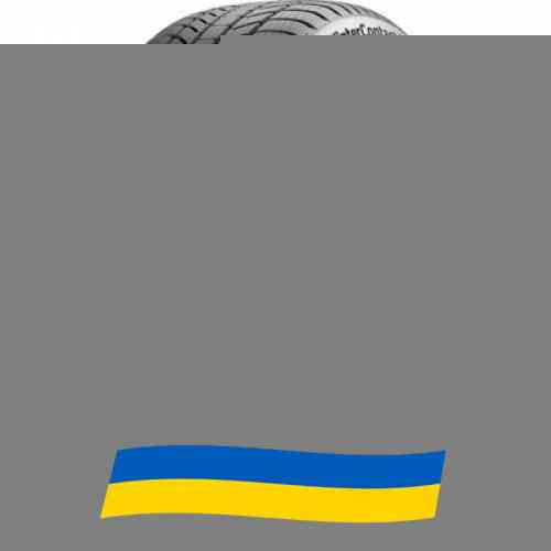 255/55 R20 Continental WinterContact TS 870P 110V Легкова шина Киев