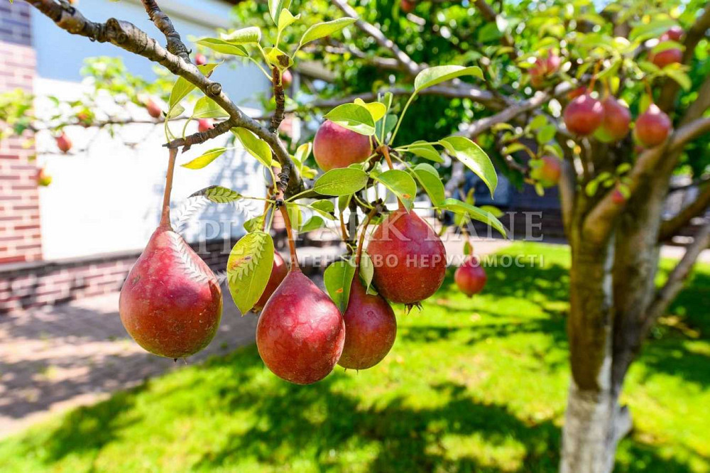 продажа 5-к дом Киево-Святошинский, Гатное, 890000 $  - зображення 7