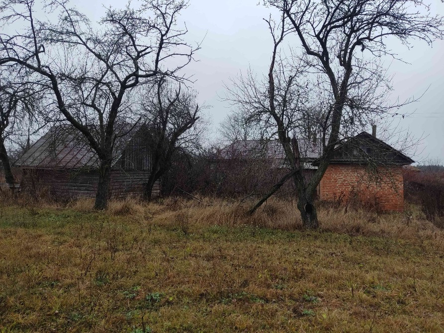 Дом в с.Заболотье, Шосткинский район Шостка - зображення 2