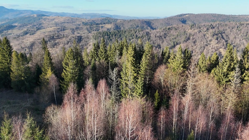 Земельна ділянка у Микуличині 0.76 га Яремче - зображення 3