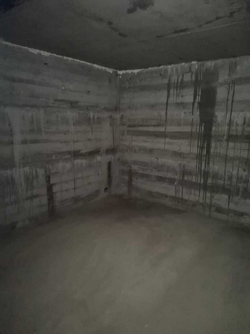 продажа 3-к дом Васильковский, Железное, 75000 $  - изображение 8