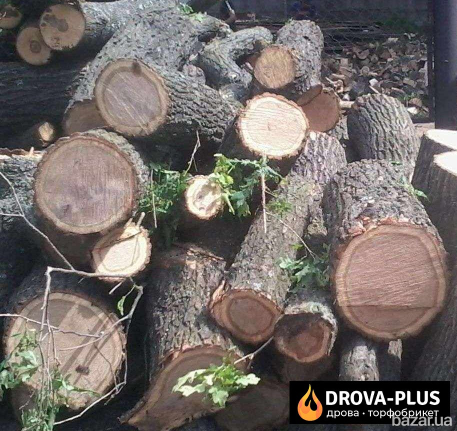 Drova-plus виготовляє у Луцьку дрова рубані дрова метровий кругляк Луцк - изображение 1