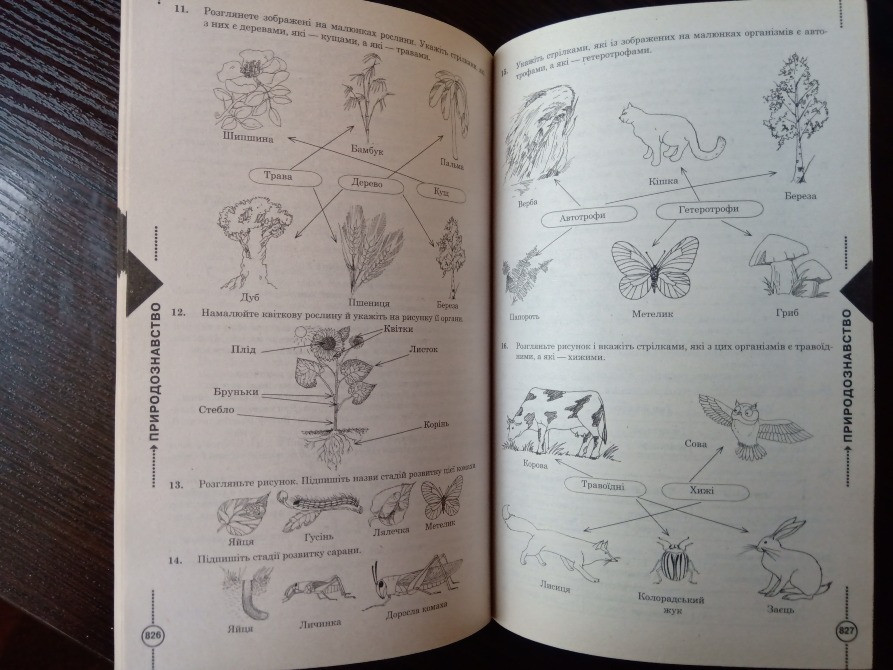 Усі шкільні домашні завдання 6 клас. Львов - изображение 3