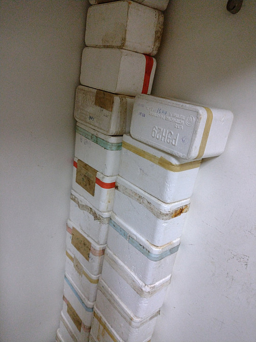 Реле РЭН-29, паспорта 0001, 0101, 0101. 4519067. -600шт. Харьков - изображение 2